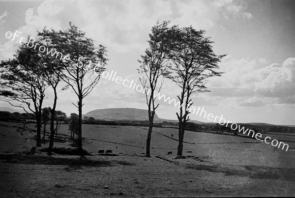 KNOCKNAREA TO W.